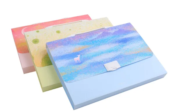 DELI/得力 风琴包 5857 颜色：绿色 直径：4cm 尺寸：33×23 单位:个