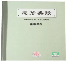 QIANGLIN/强林 乙彩面总分类账 261-C 单位:本