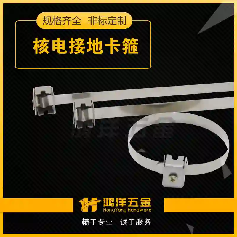 HOVERYOND/鸿洋 接地卡箍 42118 T2型 304 含配套螺母 单位:套