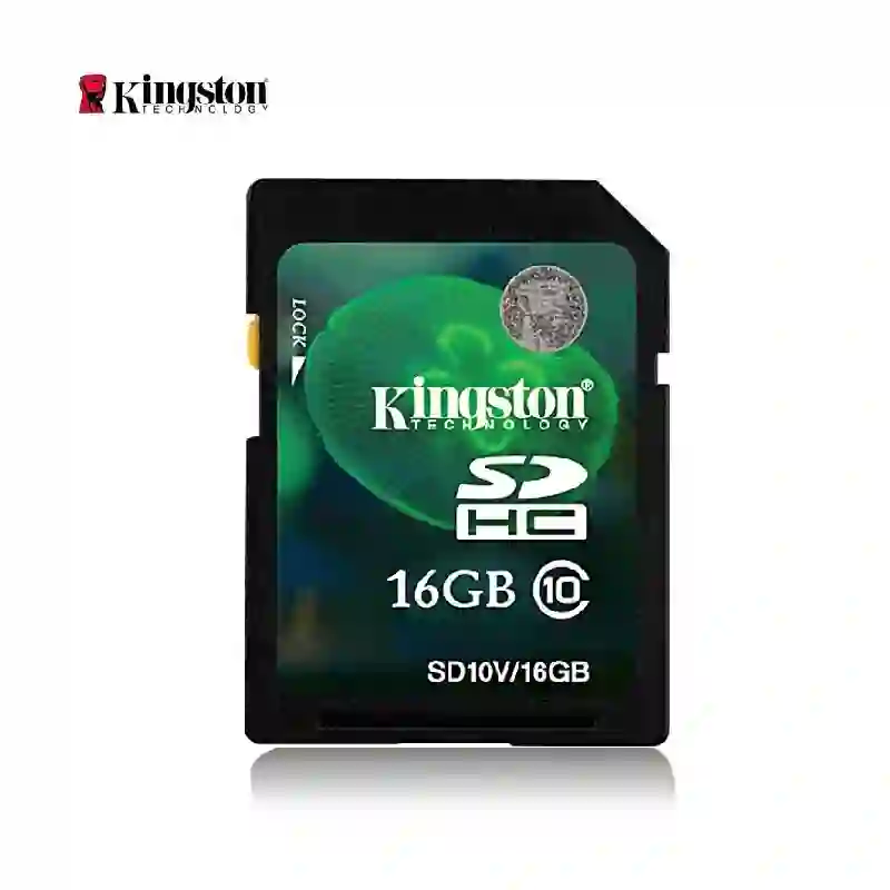 KINGSTON/金士顿 内存卡 256GB 内存卡 单位:个