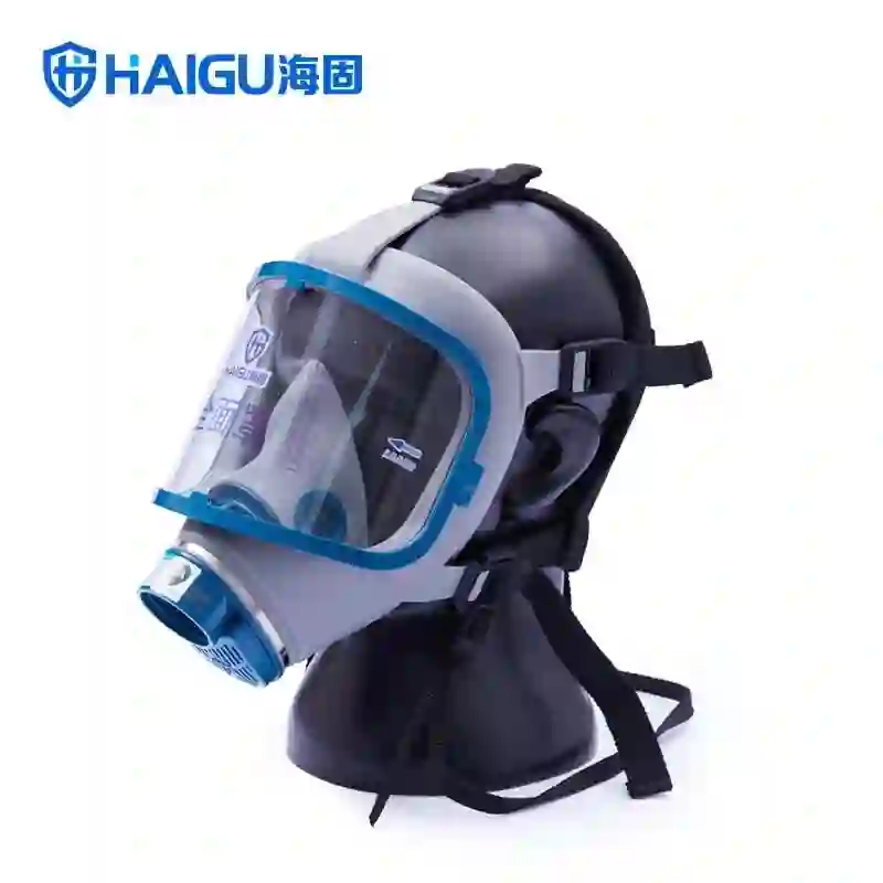 HG/海固 自吸过滤式全面具 HG-800 不含滤材 单位:个