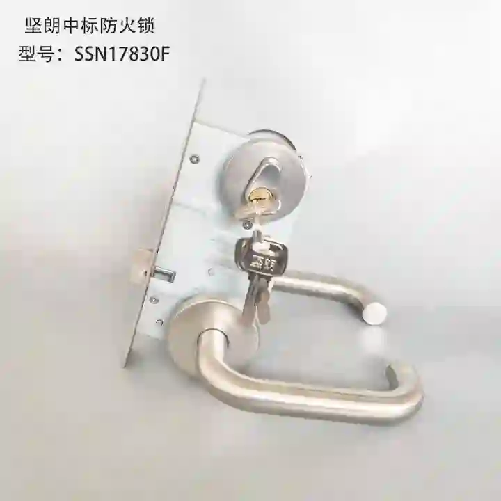 KINLONG 防火门锁 SSN12730FE 不锈钢304  欧标防火锁体（含把手），具备自动落锁功能 单位:个