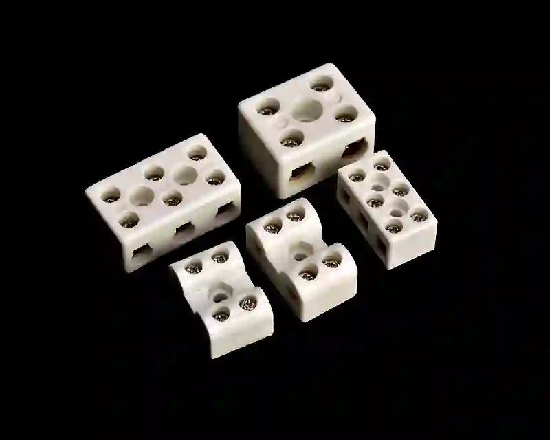 DAIYANG/大洋高科 陶瓷端子 95双孔 含铜接线柱，压接螺丝 单位:套