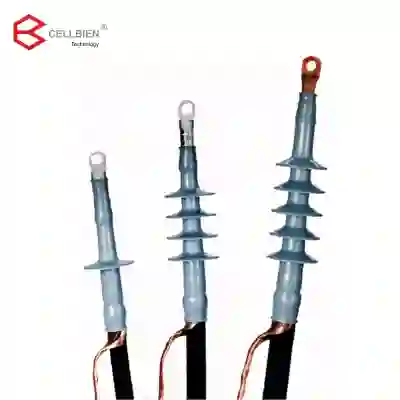DAIYANG/大洋高科 电缆终端接头 DLJQ-22 0.22kV 304 螺母配黄铜压缩环 单位:套
