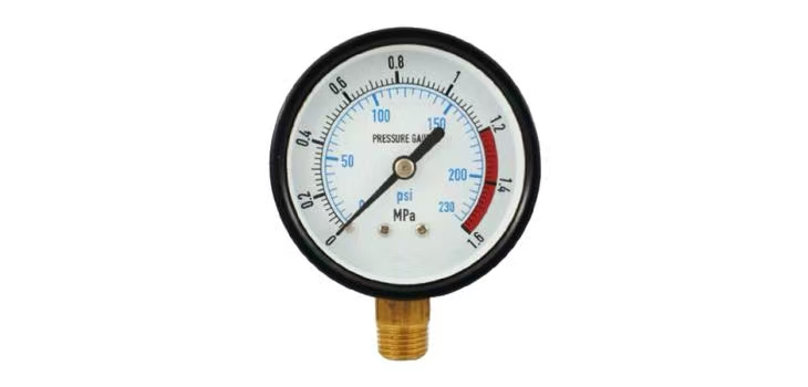 SHANGBAI/尚佰 压力表 Y60 304 0-1.6MPa 2.5级 M14×1.5 径向 304 充油 单位:个