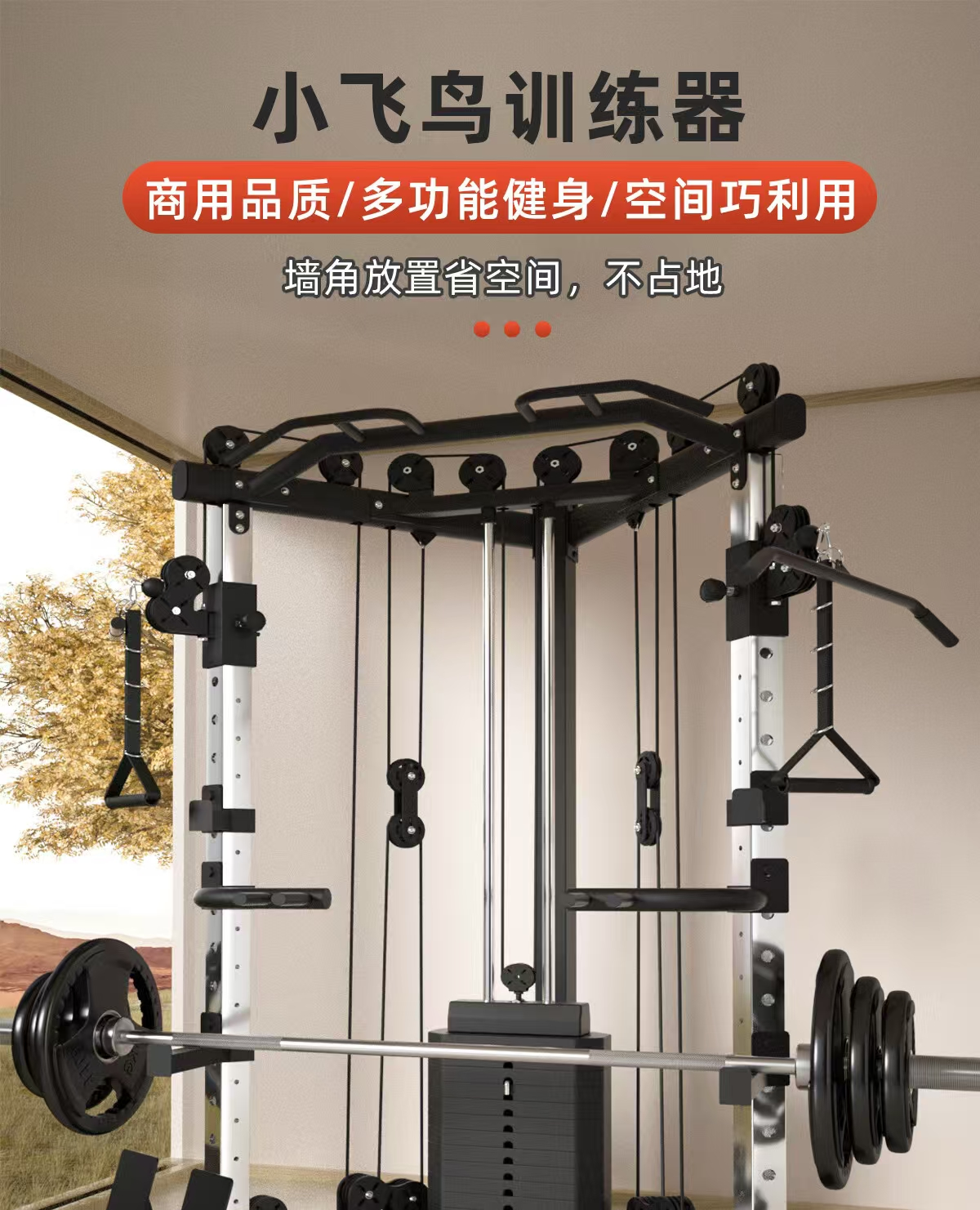 FANTENG/凡腾 倒蹬机 倒蹬机+（60kg杠铃片） 单位:台