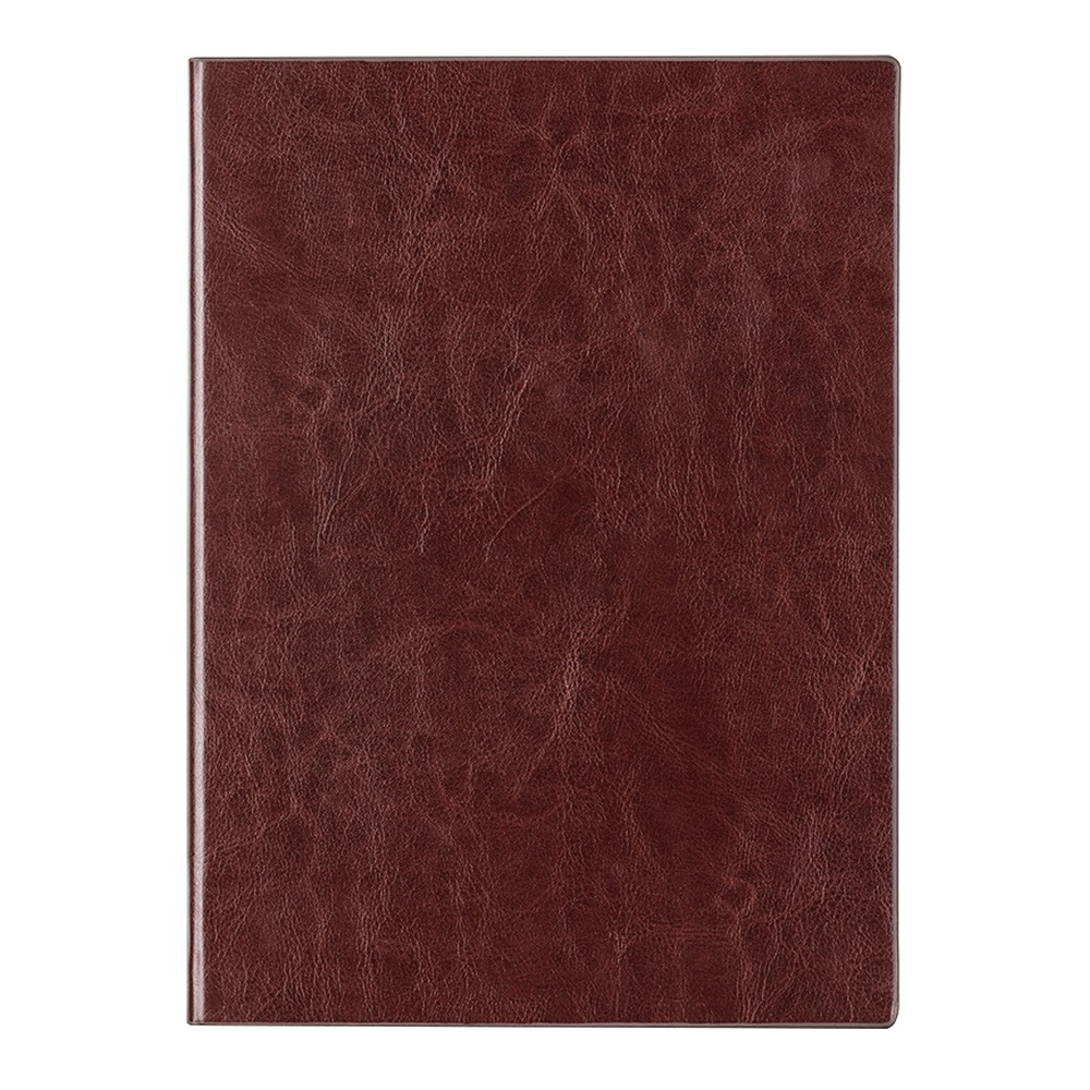 DELI/得力 商务办公笔记本 3185 颜色:棕色；尺寸:175mm；纸张规格:16K 单位:本