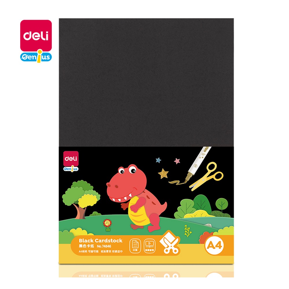 DELI/得力 手工卡纸A4 74846 颜色:黑色；其他:20张 A4 单位:袋