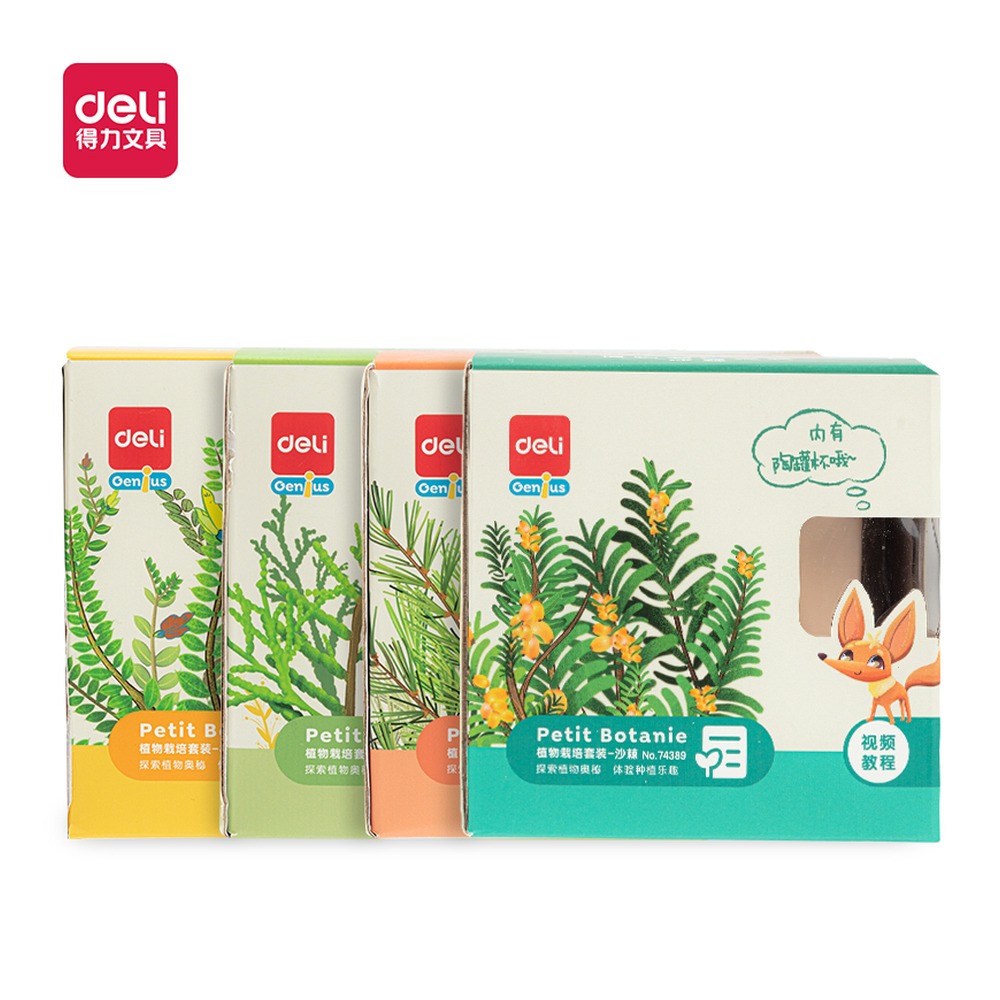 DELI/得力 植物栽培陶罐杯 74389 颜色:混 单位:盒