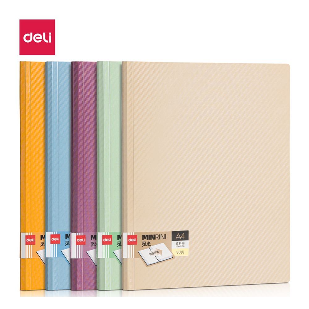 DELI/得力 资料册 PQ601-30 颜色:混；材质:pp；尺寸:310x 240x10Gmm) 单位:个