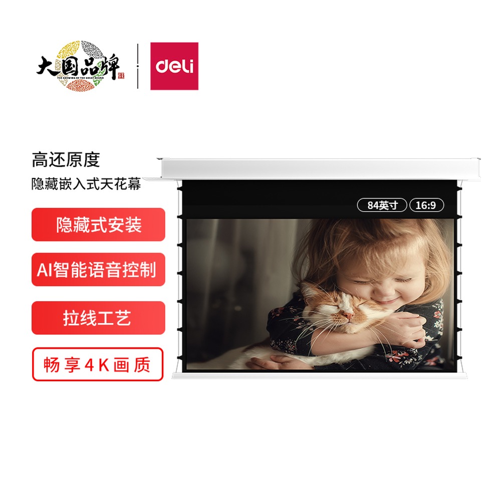 DELI/得力 天花幕 MS900 颜色:白 单位:支