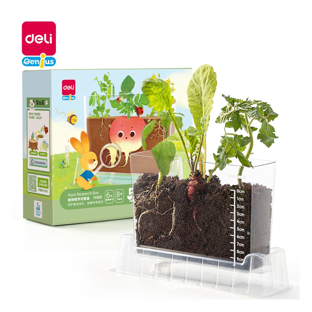 DELI/得力 植物根系观察盒 YX426 颜色:混 单位:盒