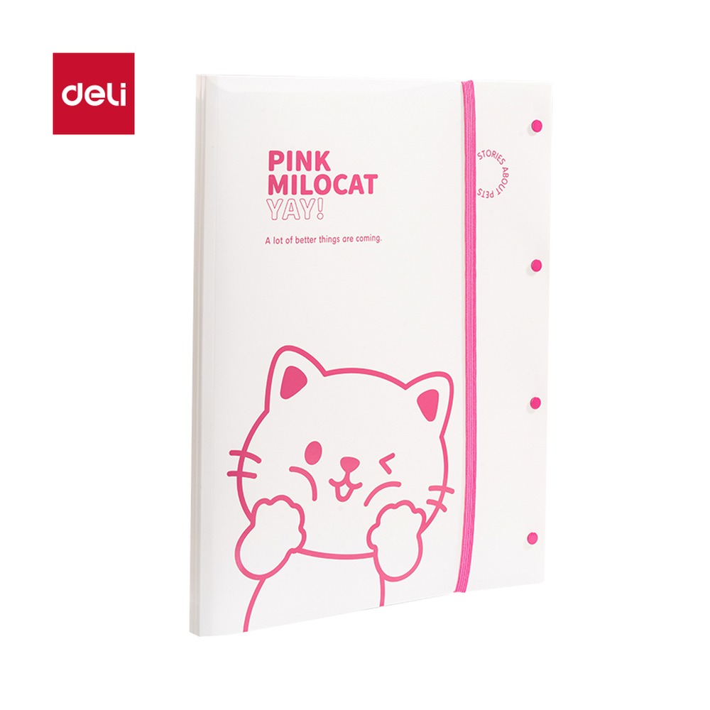 DELI/得力 试卷册 PQ334-60 规格:页数；颜色:红 单位:个