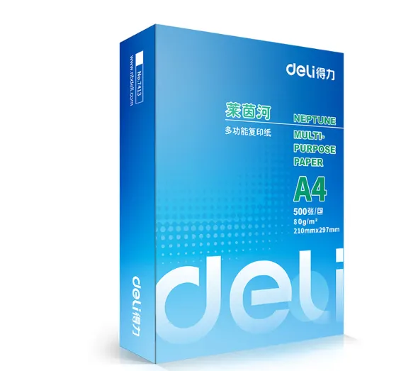 DELI/得力 莱茵河复印纸 7419 A4 80g   500张/包 5包/箱 单位:包
